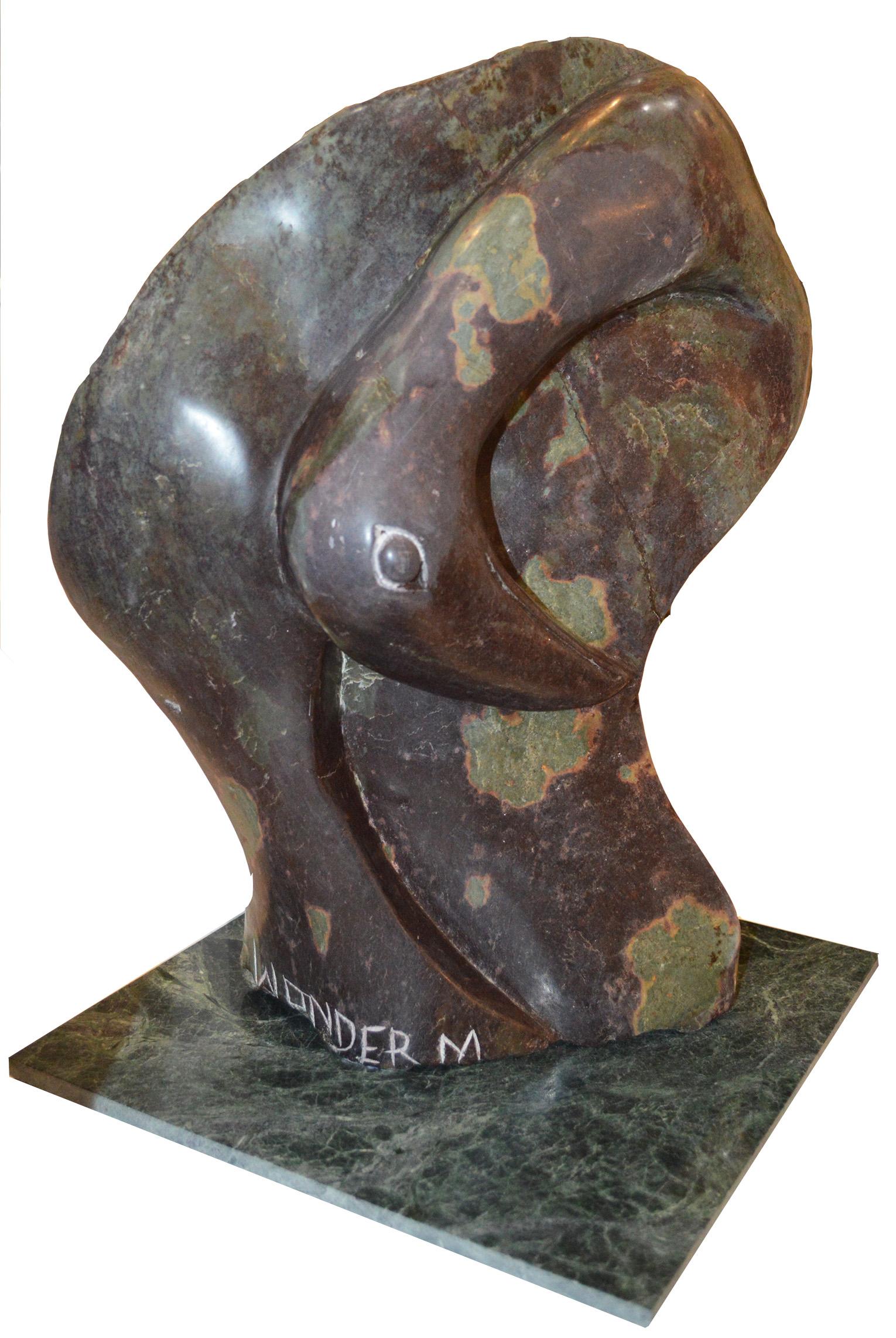 cobalt Bird" est une sculpture originale signée de l'artiste zimbabwéen Wonder Mazhindu Bumhira. Formé dans la tradition de la sculpture Shona, Mazhindu sculpte souvent des oiseaux abstraits, comme dans cet exemple. Cette sculpture est ludique et