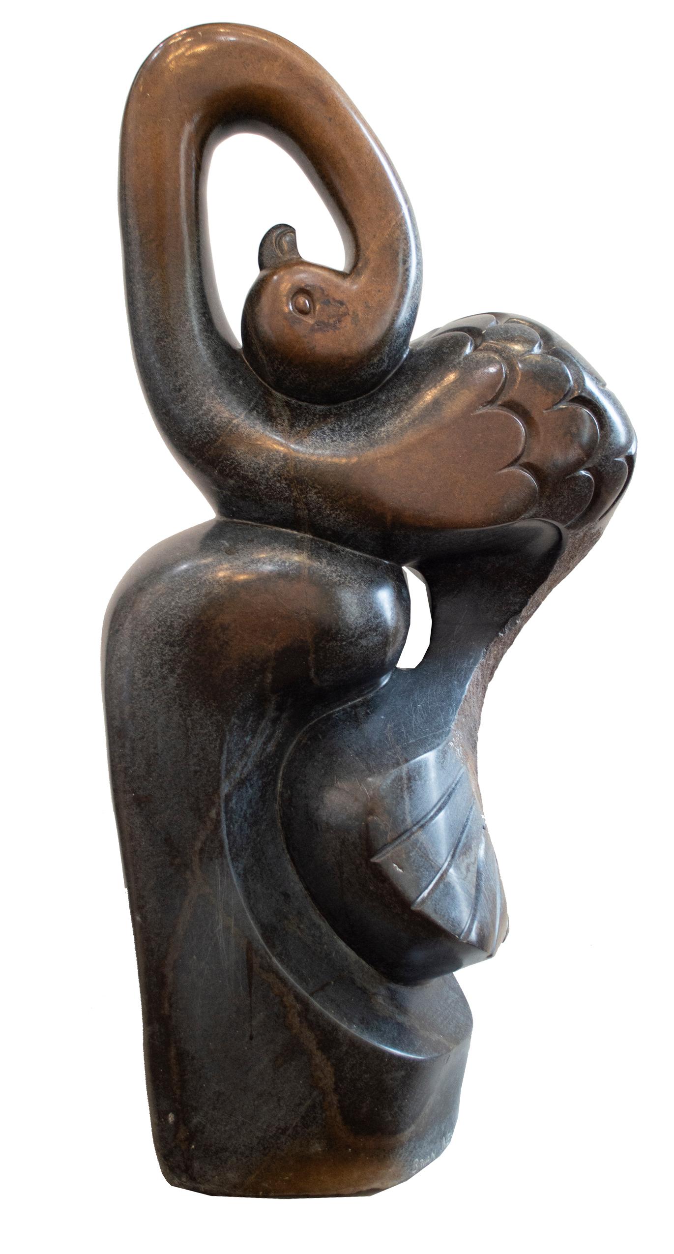 l'autruche est une sculpture originale en pierre à ressort signée par l'artiste zimbabwéen Brian Nehumba. Brian a été formé dans la tradition de la sculpture sur pierre de Shona et cette œuvre est un excellent exemple de son travail, combinant des