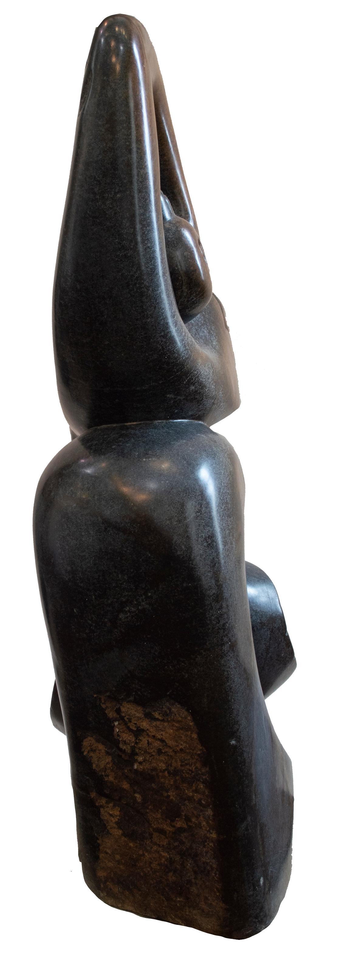 Sculpture originale Shona « Ostrich » en pierre à ressort signée par Brian Nehumba en vente 1