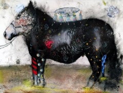 Larry (Pony)