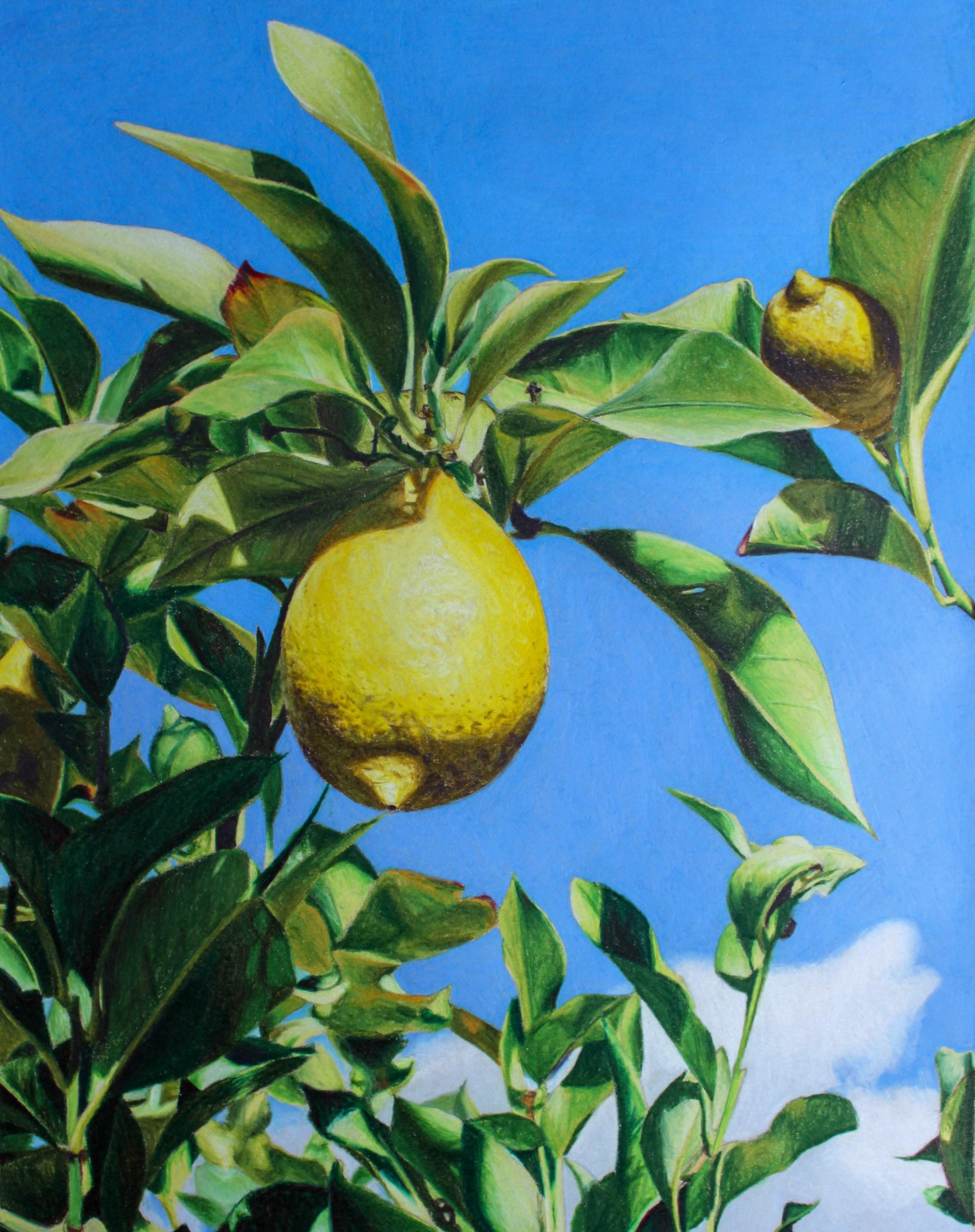 Landscape Art di Maria Deely - Quando la vita ti dà i limoni (Fotorealistico, Paesaggio italiano, Albero, ~41% OFF)