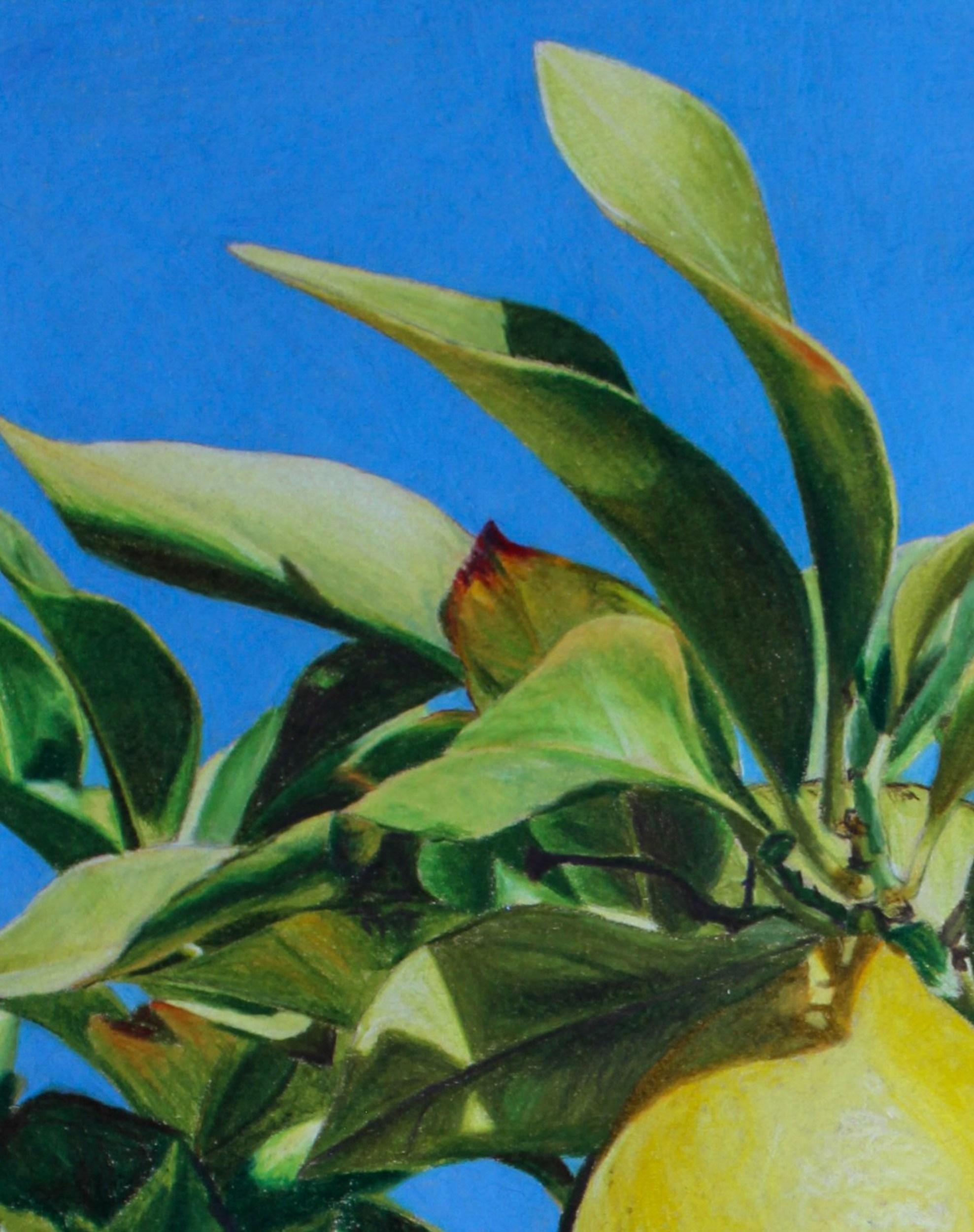 Quando la vita ti dà i limoni (Fotorealistico, Paesaggio italiano, Albero, ~41% OFF) in vendita 1