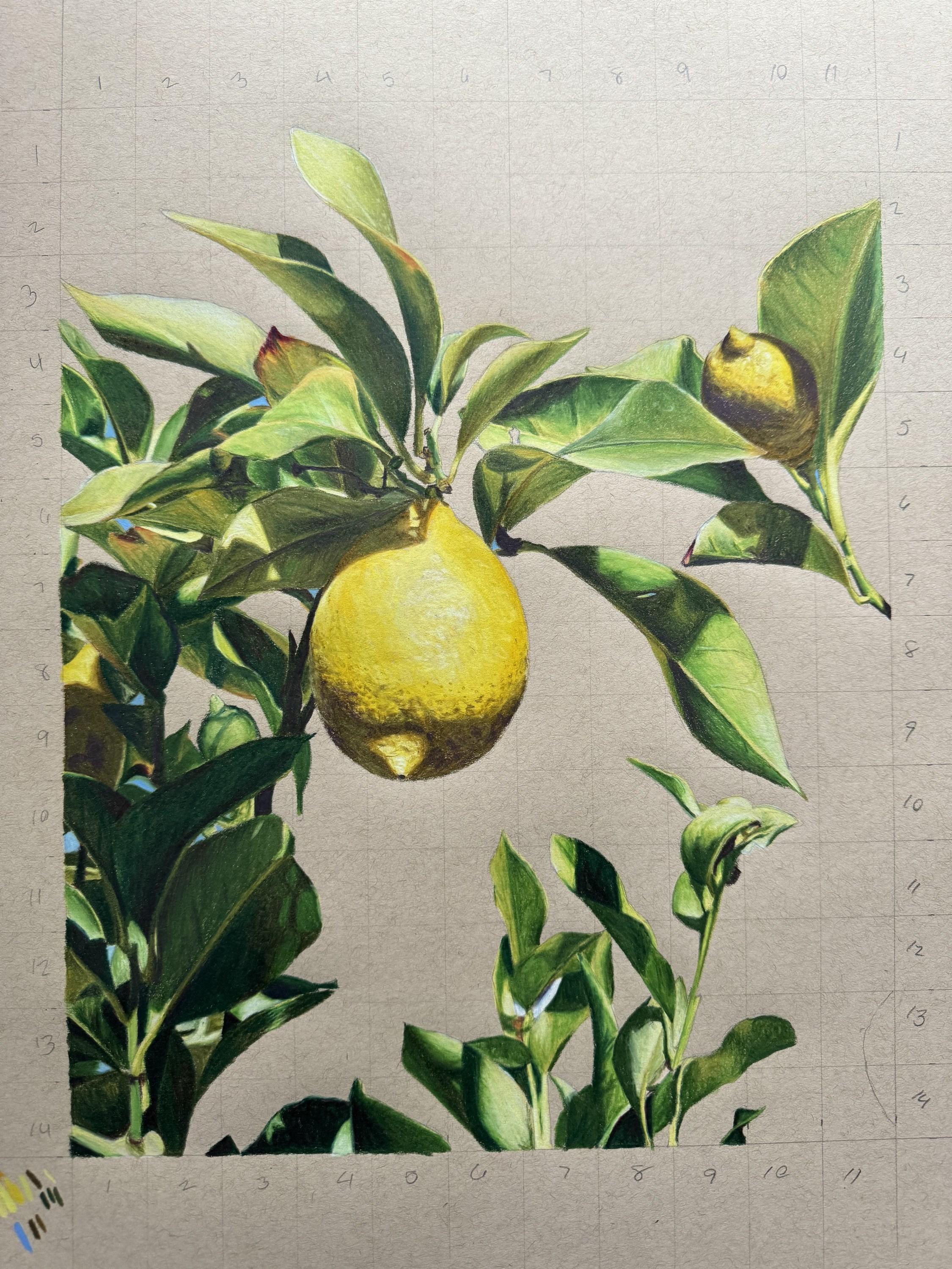 Maria Deely
Quando la vita ti dà dei limoni
2025
Disegno originale con matite colorate
Dimensioni: 14 x 11 pollici (35,56 x 27,94 cm)
Firmato
Il COA ha fornito

Ispirato alla serena bellezza dei Giardini La Foce in Toscana, questo disegno cattura il