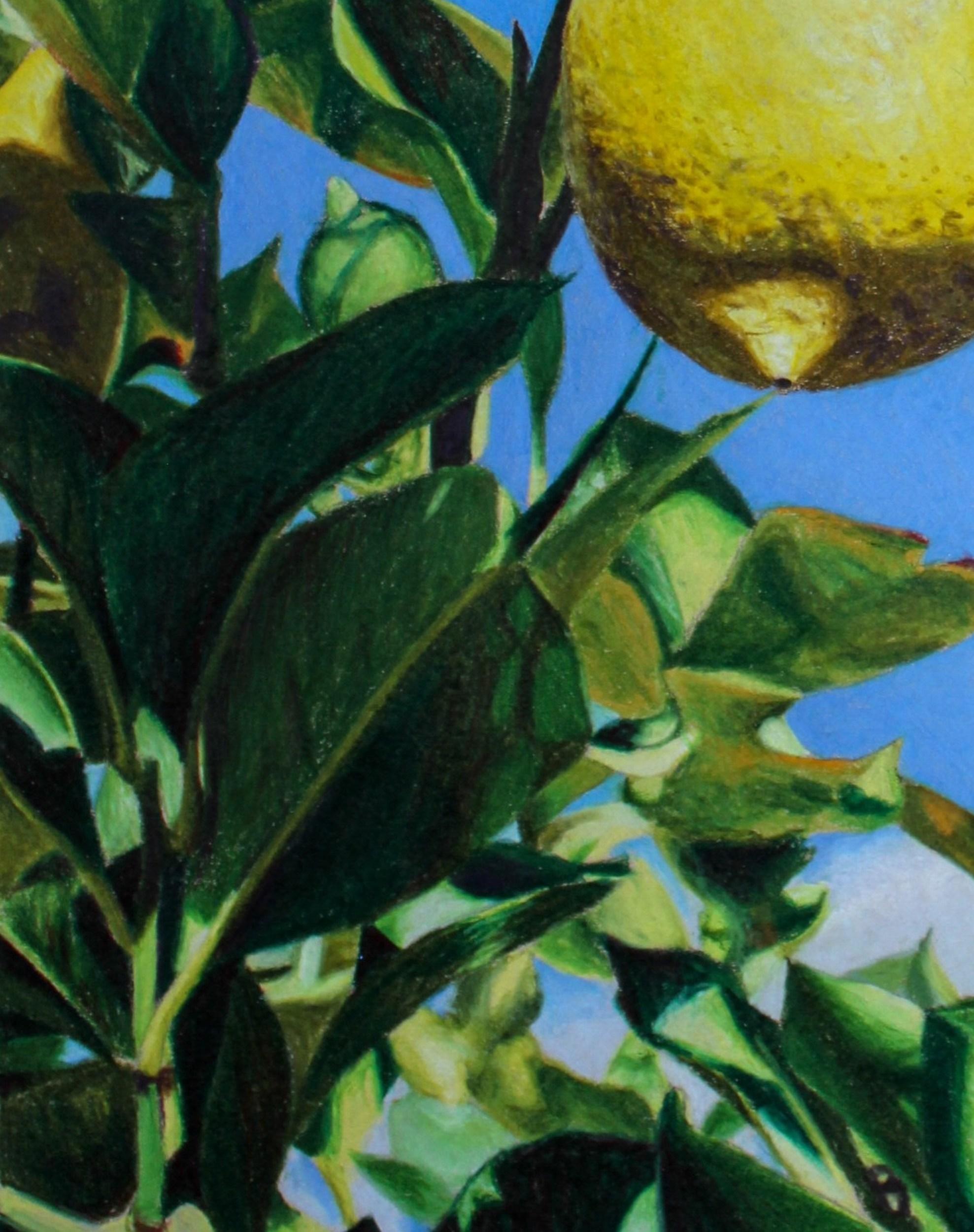 Quando la vita ti dà i limoni (Fotorealistico, Paesaggio italiano, Albero, ~41% OFF) in vendita 2