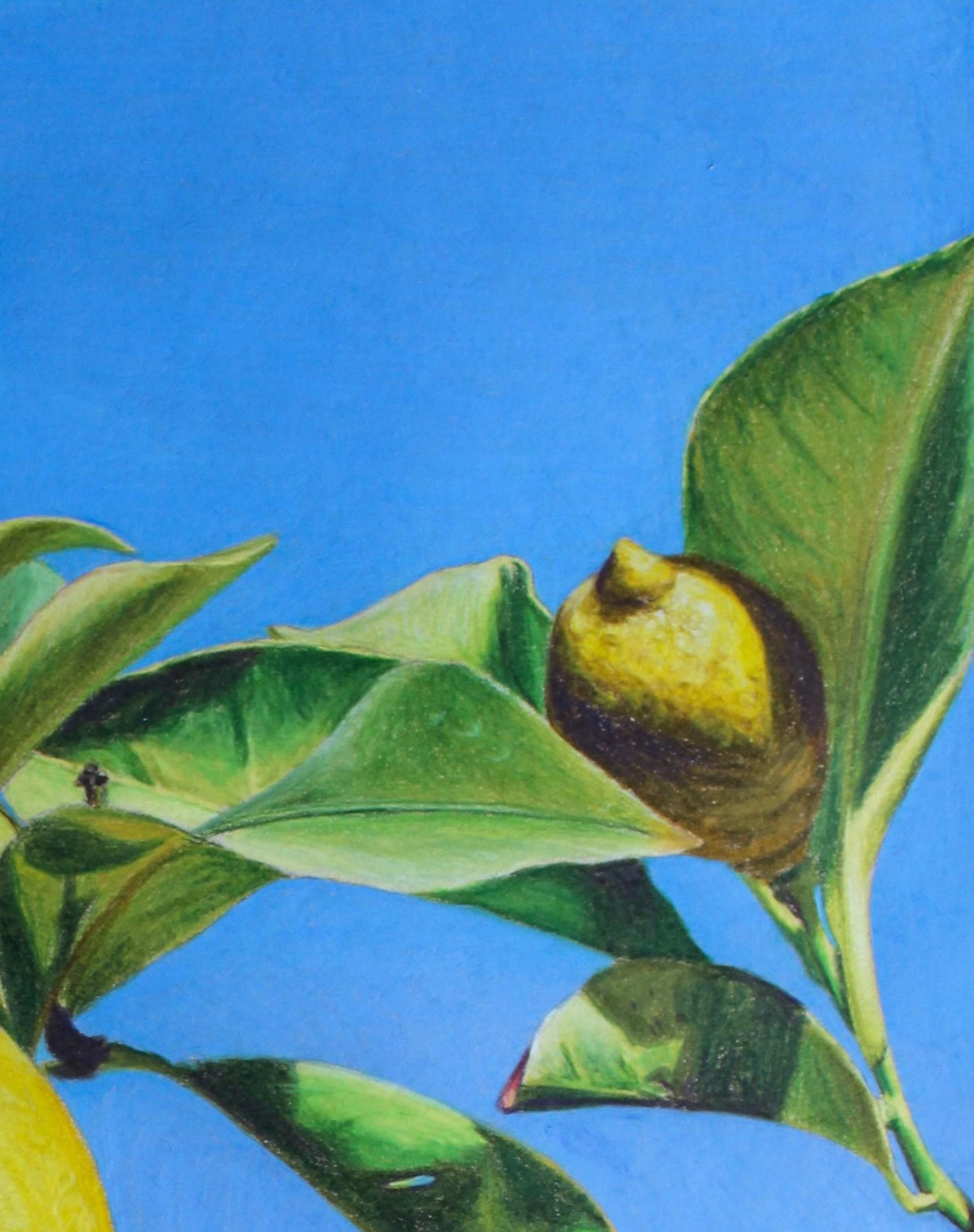 Quando la vita ti dà i limoni (Fotorealistico, Paesaggio italiano, Albero, ~41% OFF) in vendita 3