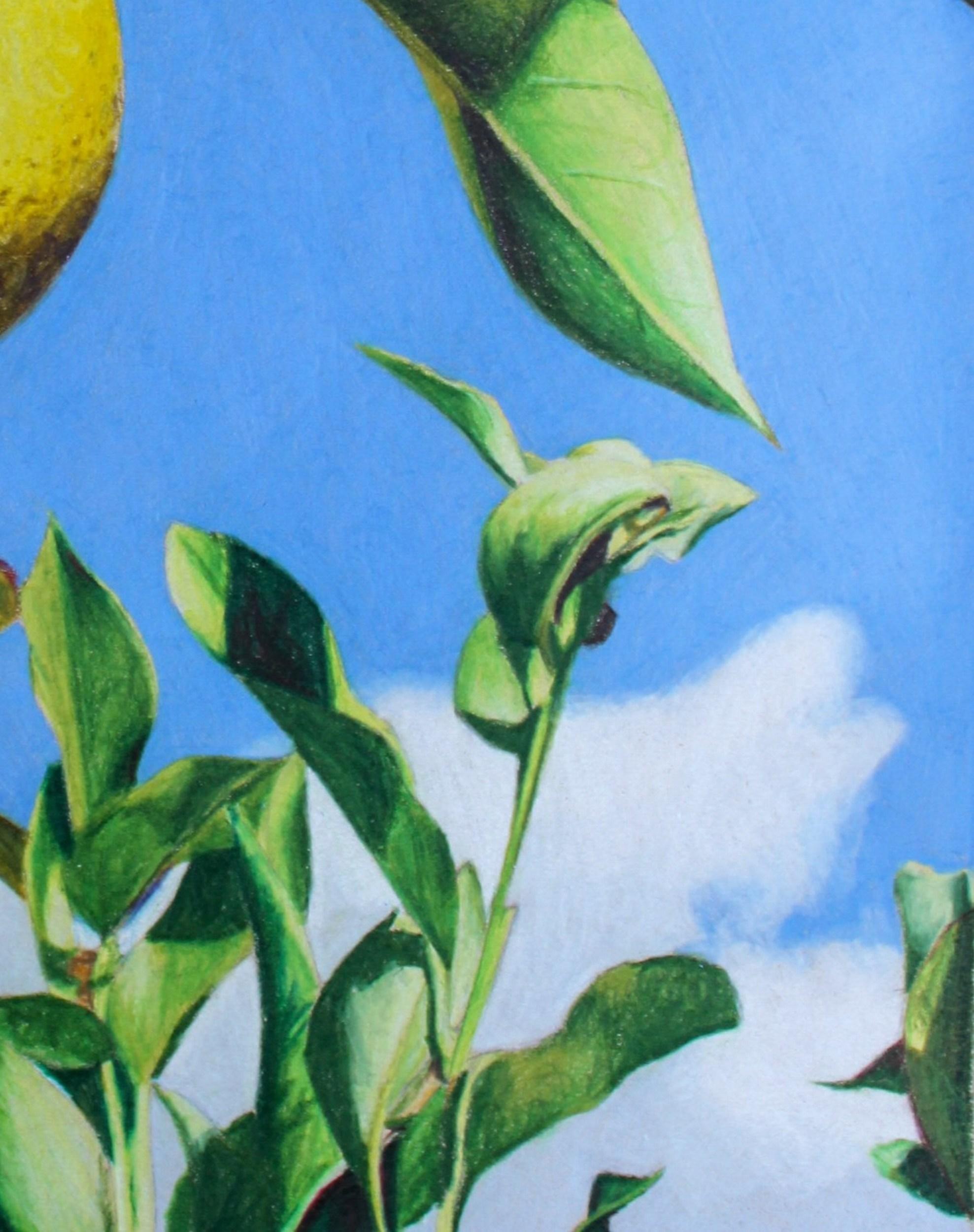 Quando la vita ti dà i limoni (Fotorealistico, Paesaggio italiano, Albero, ~41% OFF) in vendita 4