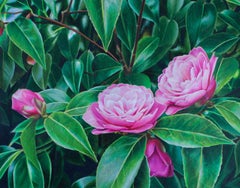 Landscape Drawings and Watercolors