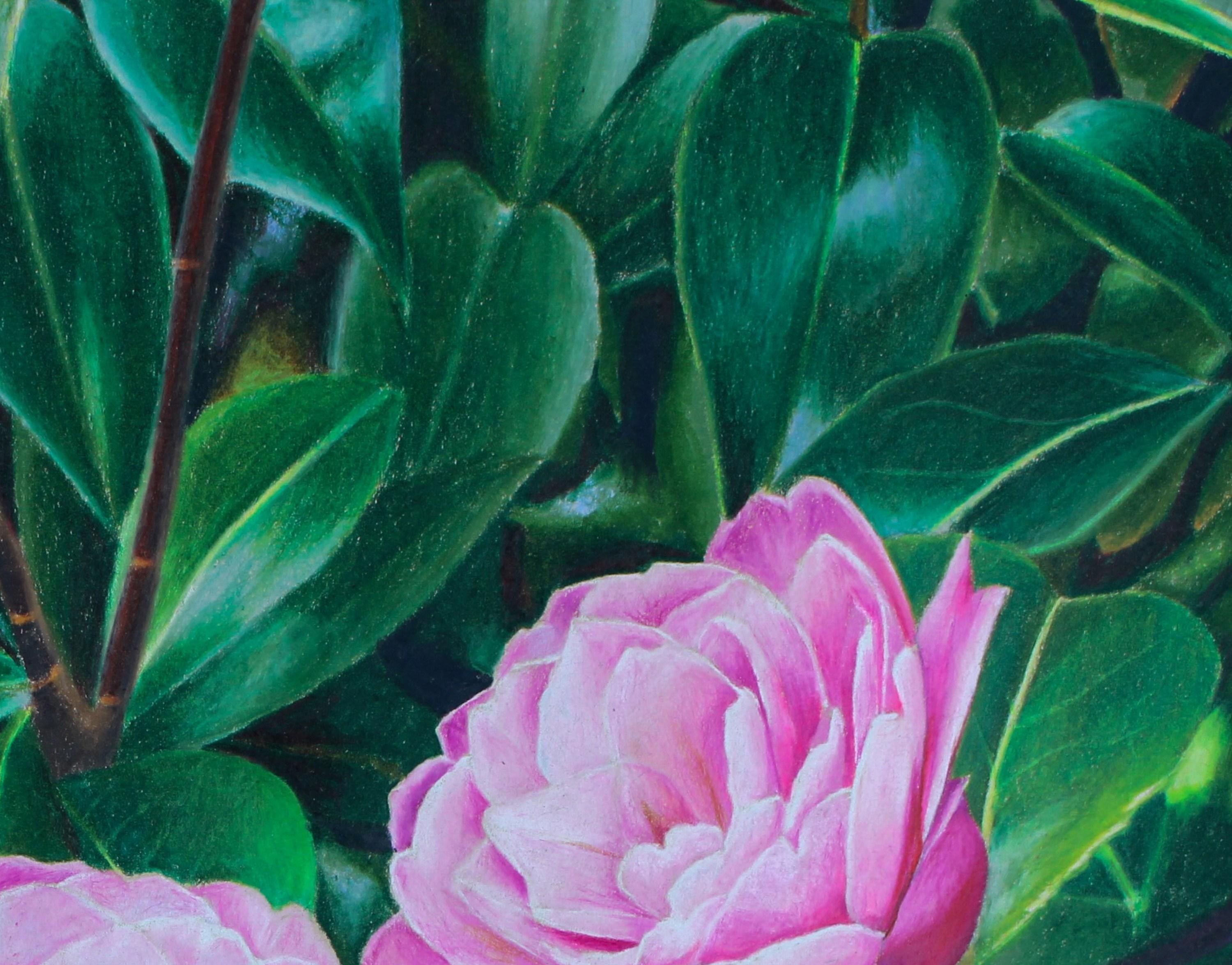 Blarney Flowers (Castello di Blarney, Giardini irlandesi, Floreale, ~35% OFF) in vendita 4