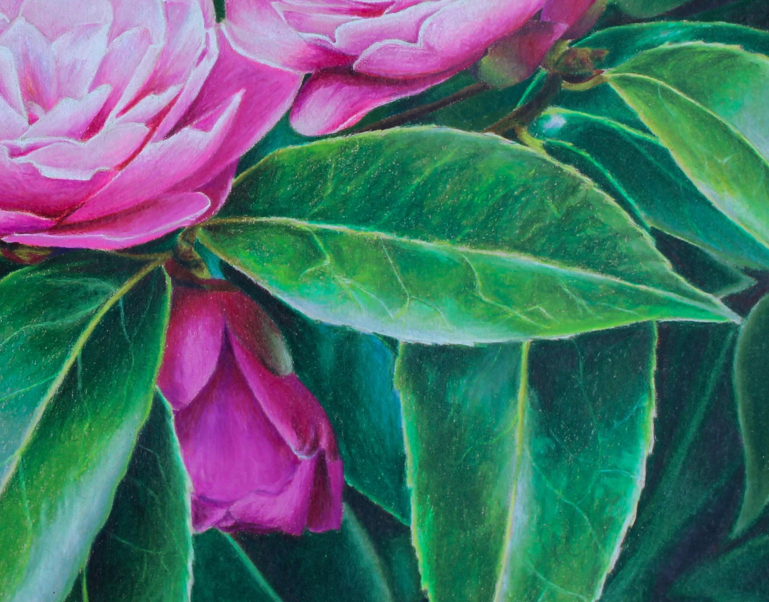 Blarney Flowers (Castello di Blarney, Giardini irlandesi, Floreale, ~35% OFF) in vendita 5