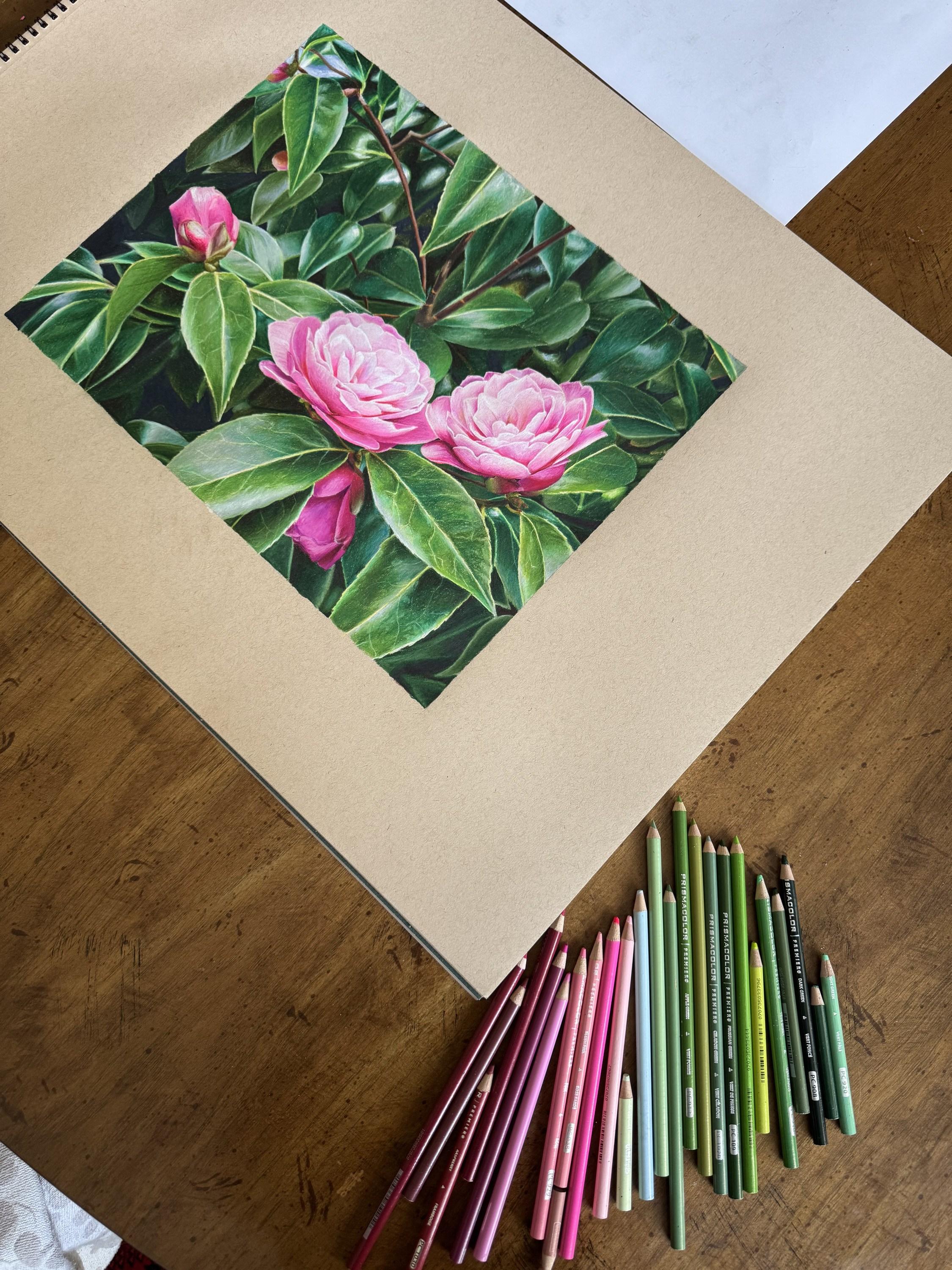 Maria Deely
Fiori di Blarney (Castello di Blarney, Giardini irlandesi, Fiori)
2025
Disegno originale con matite colorate
Dimensioni: 11 x 14 pollici (27,94 x 35,56 cm)
Firmato
Il COA ha fornito

Maria Deely cattura l'incantevole bellezza dei