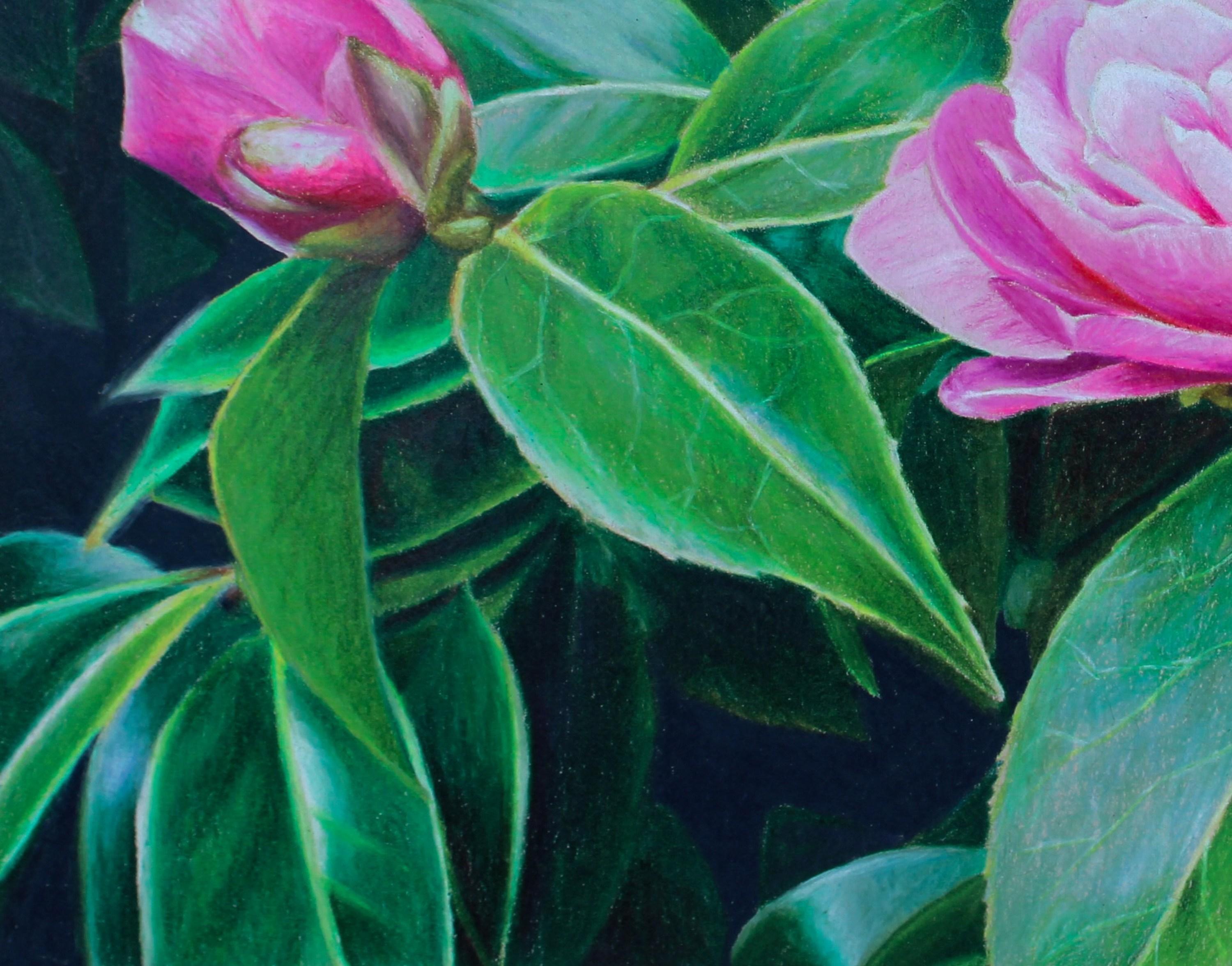 Blarney Flowers (Castello di Blarney, Giardini irlandesi, Floreale, ~35% OFF) in vendita 3