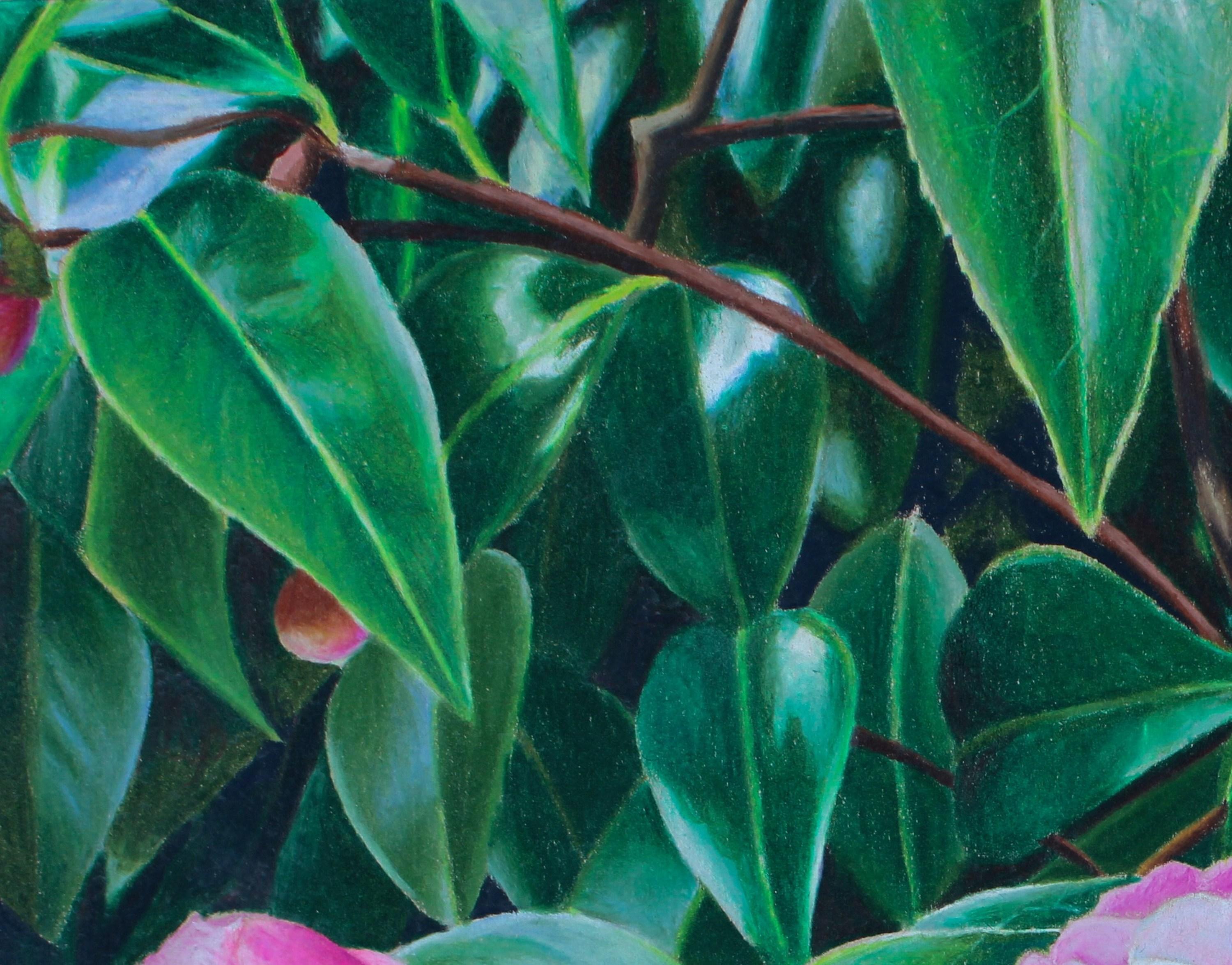 Blarney Flowers (Castello di Blarney, Giardini irlandesi, Floreale, ~35% OFF) in vendita 2