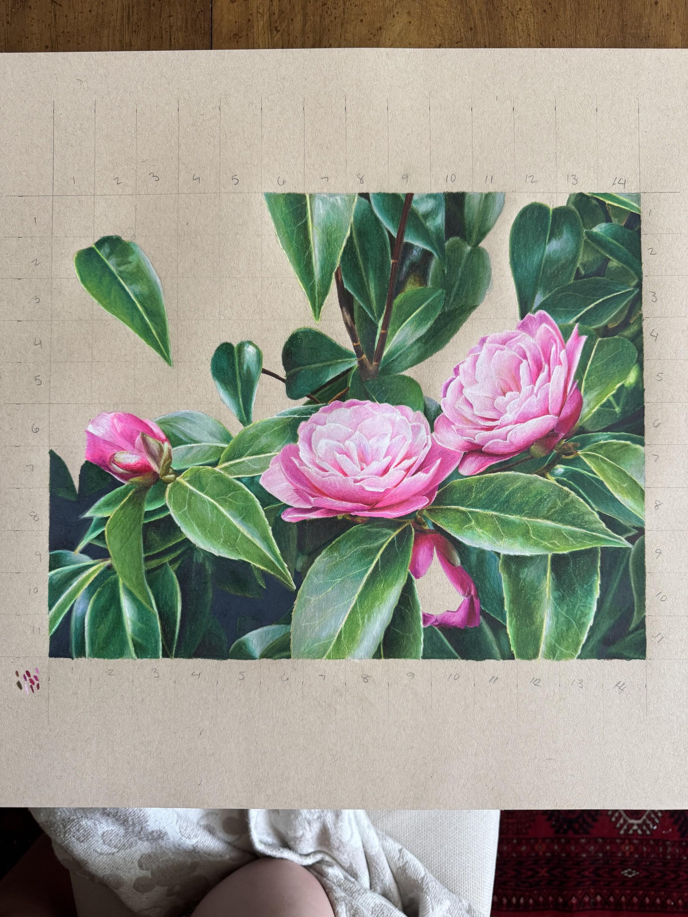 Blarney Flowers (Castello di Blarney, Giardini irlandesi, Floreale, ~35% OFF) in vendita 1