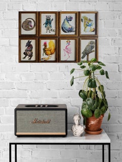 Serie di animali - Set di 8 disegni incorniciati (divertenti, stravaganti, ~84% di sconto - DEVE ANDARE)