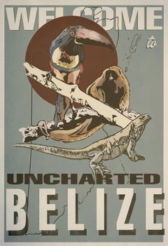 Uncharted Belize 