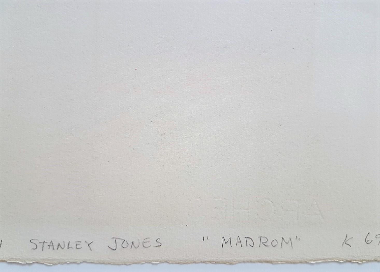 Madron - Modern Print by Stanley Jones