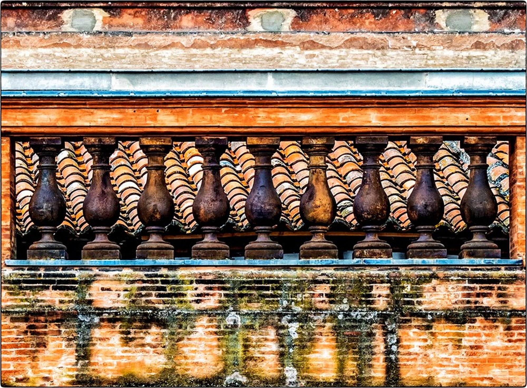  Fish Scale - Roof Tile  - Photograph by Gary Hodson