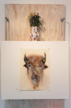 The Animals of Farmer Jones