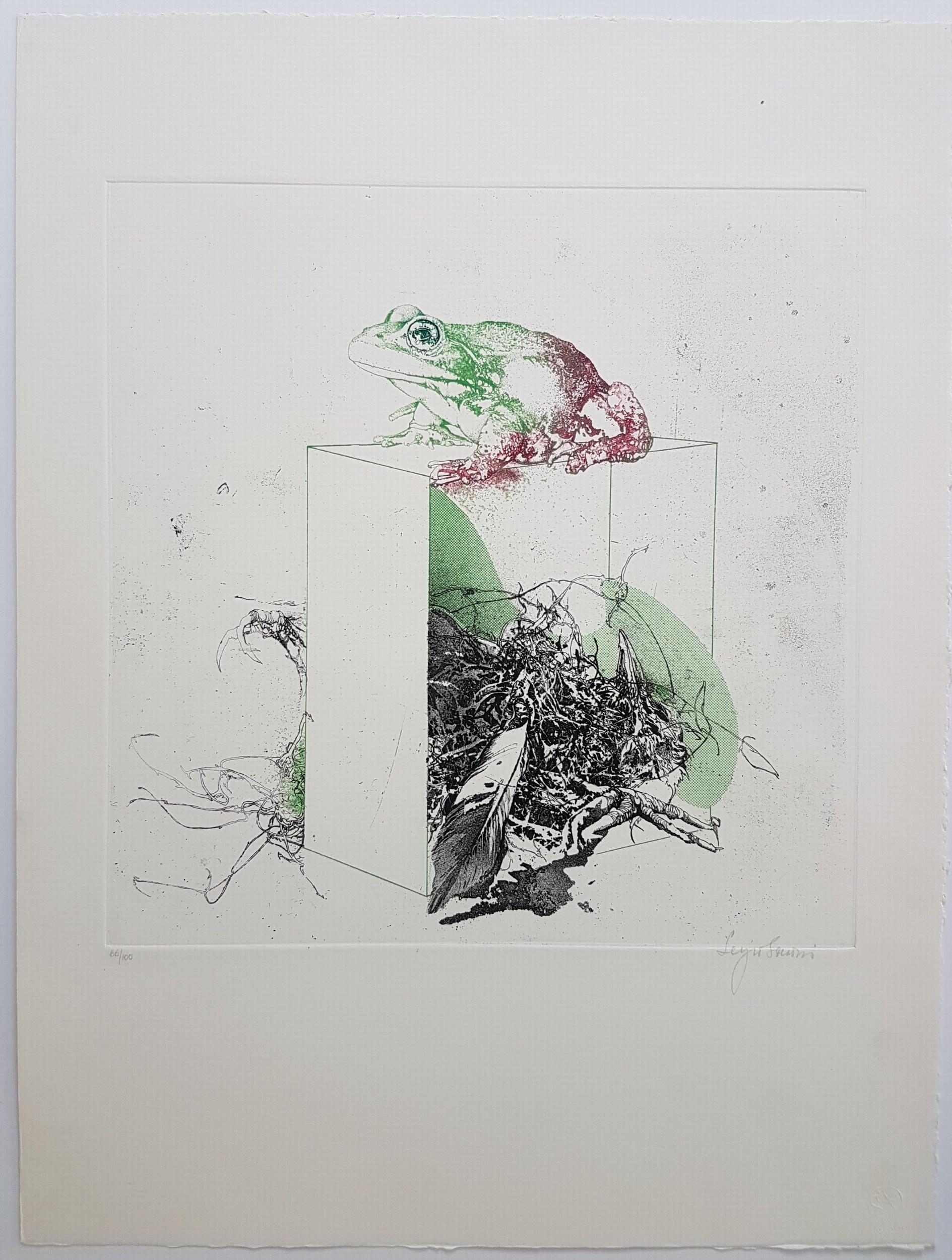Portfolio (partiel) contenant 3 lithographies et gravures (~60% DÉLAI LIMITÉ) - Gris Abstract Print par Grafica