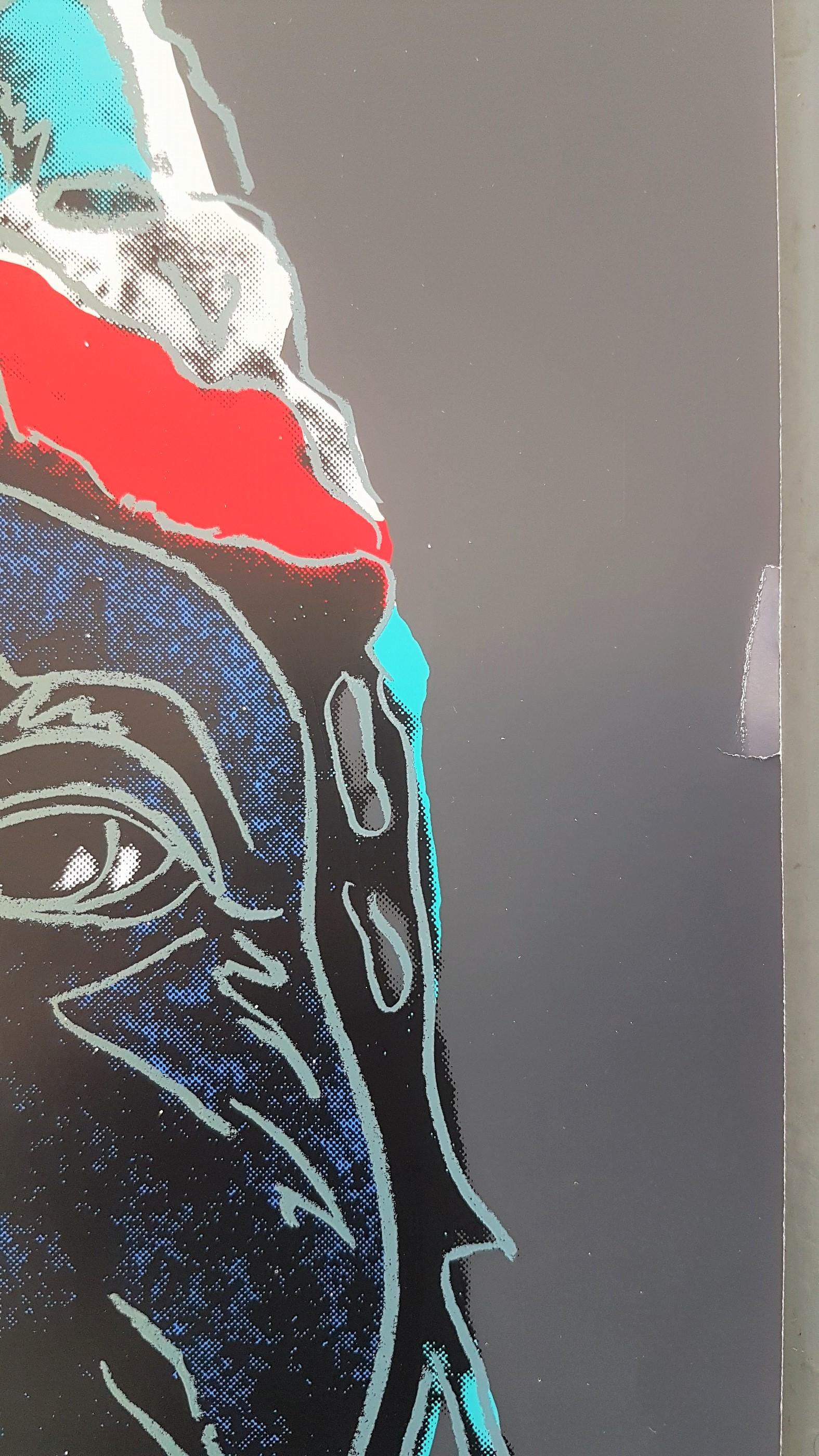 andy warhol indian chief