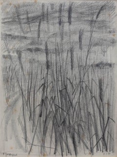 Feather Reed Grass
