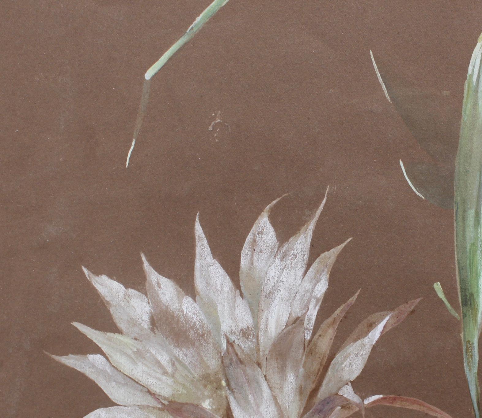 'Desert Flower', gouache on coloured paper, by Pierre Roy (circa 1930s). The artist has skilfully captured the beautiful white flowers extending from the main cactus body. Cactus flowers can be yellow, red, pink, white, orange, or blue. Some bloom