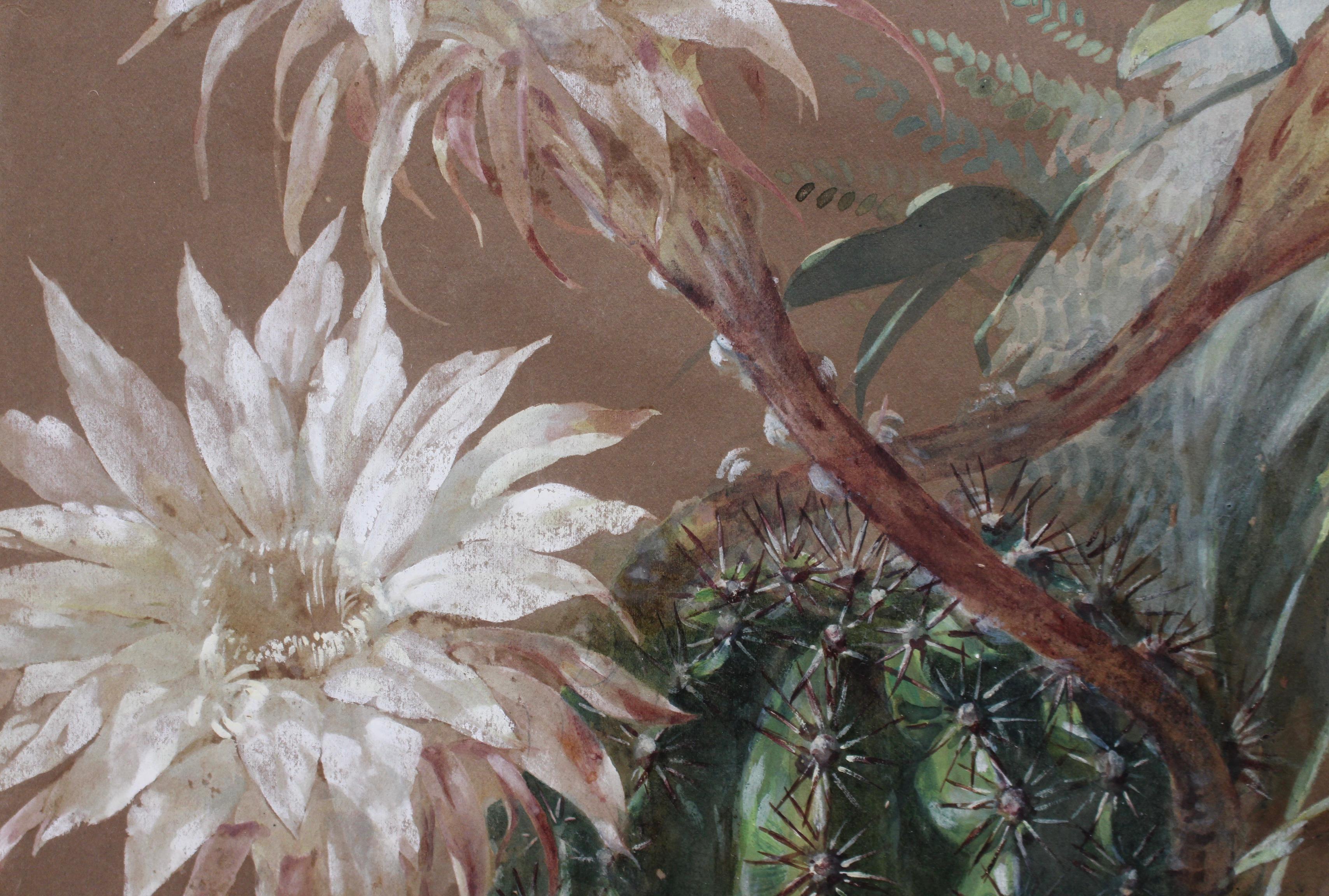 Fleur du désert en vente 9