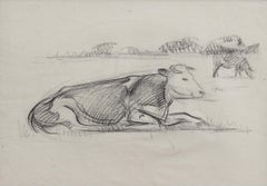Portrait of a Bull in a Field