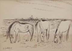 Grazing Horses in the Camargue