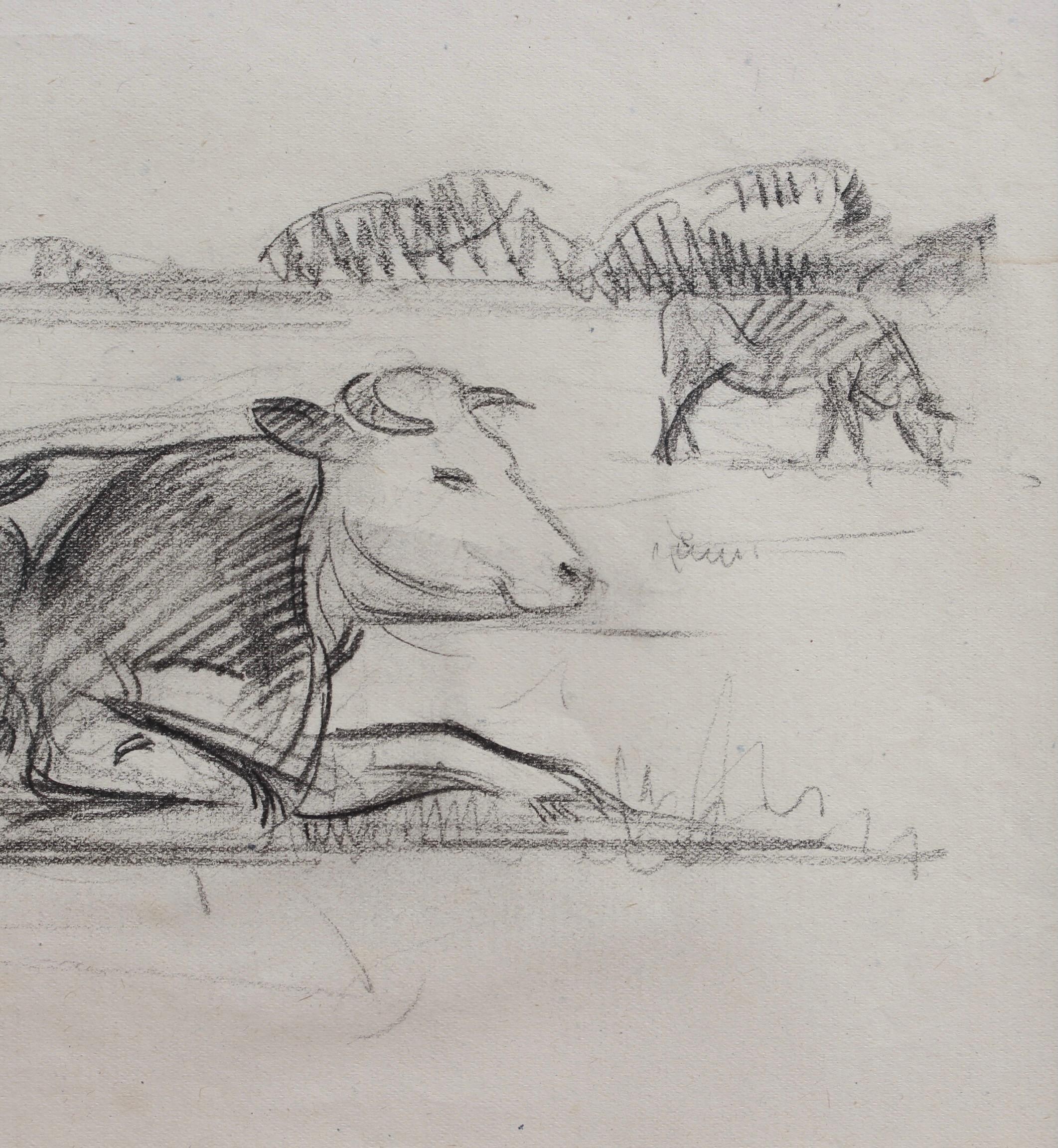 Portrait of a Bull in a Field 3