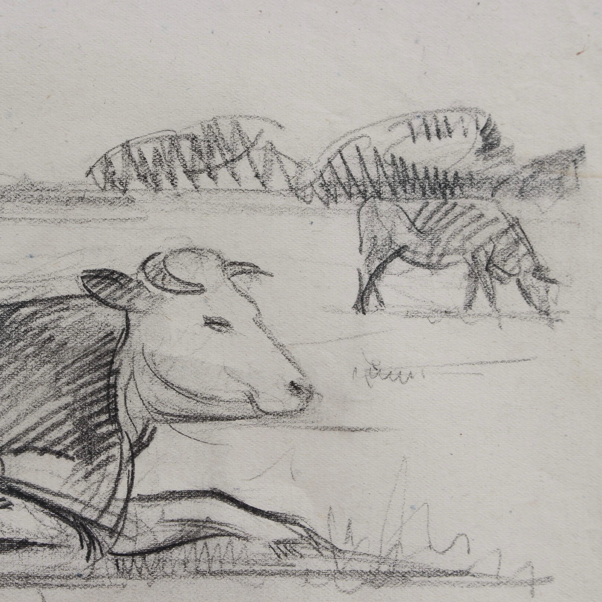 Portrait of a Bull in a Field 4