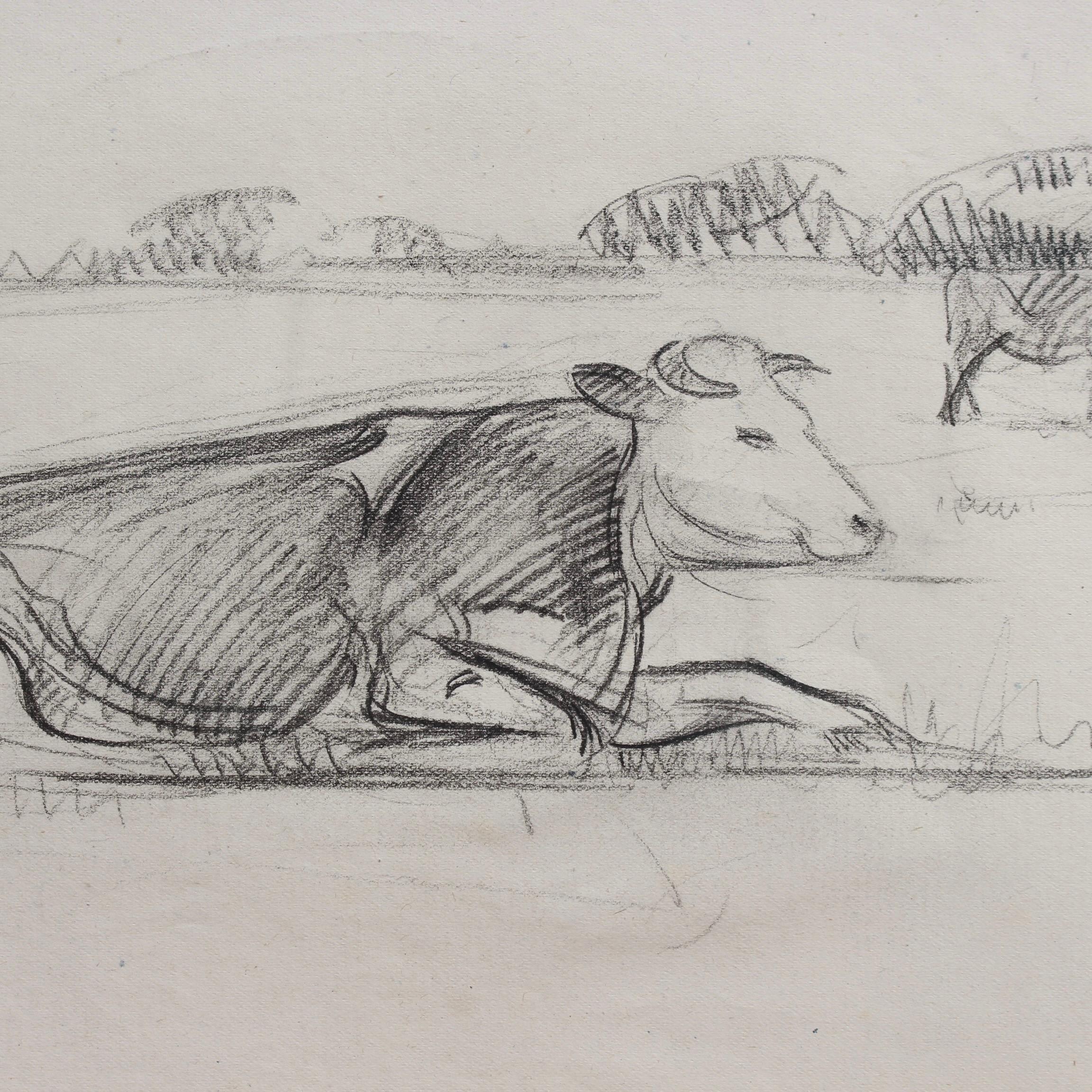 Portrait of a Bull in a Field 2