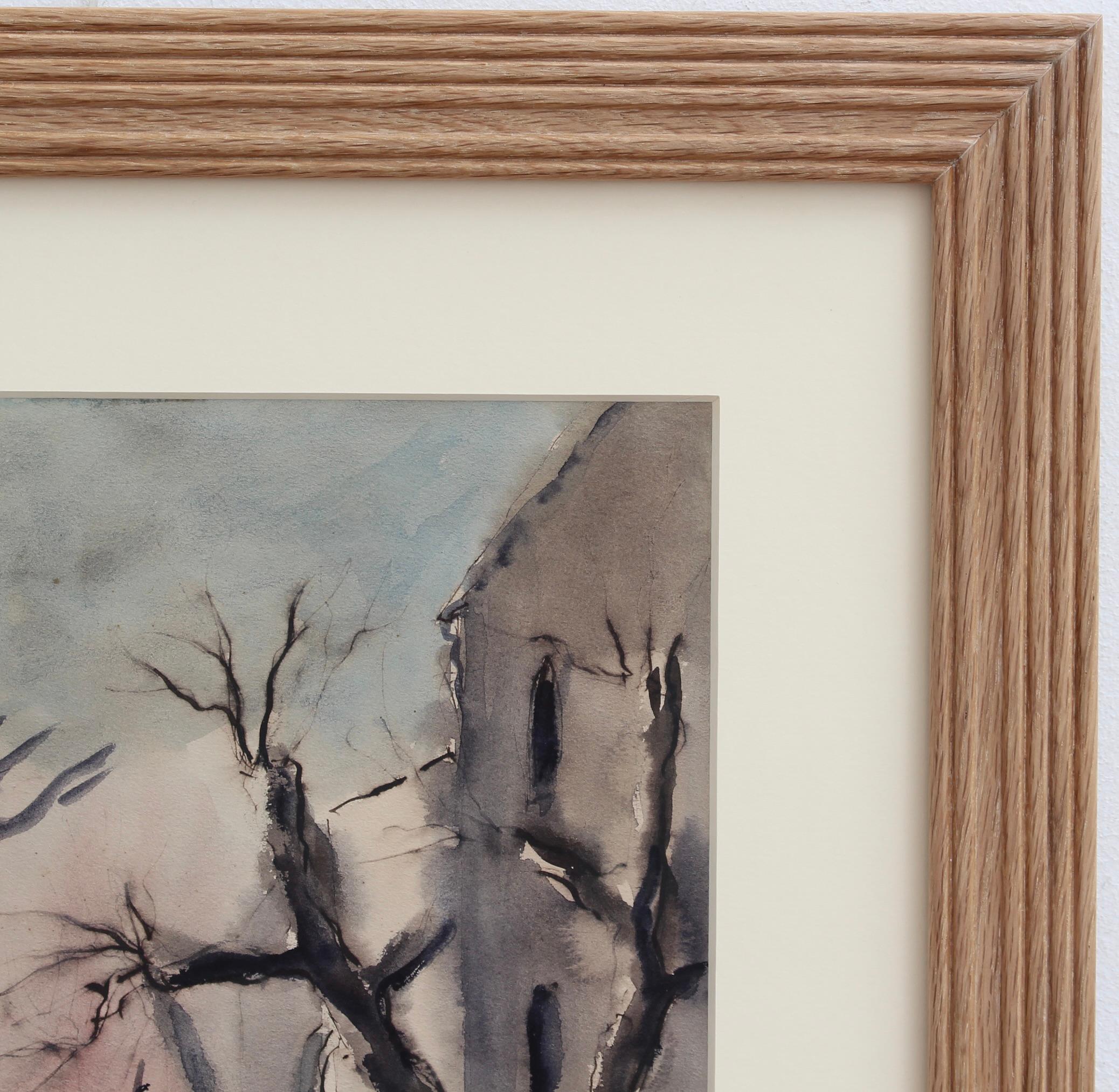 Plátanos provenzales en invierno en venta 3