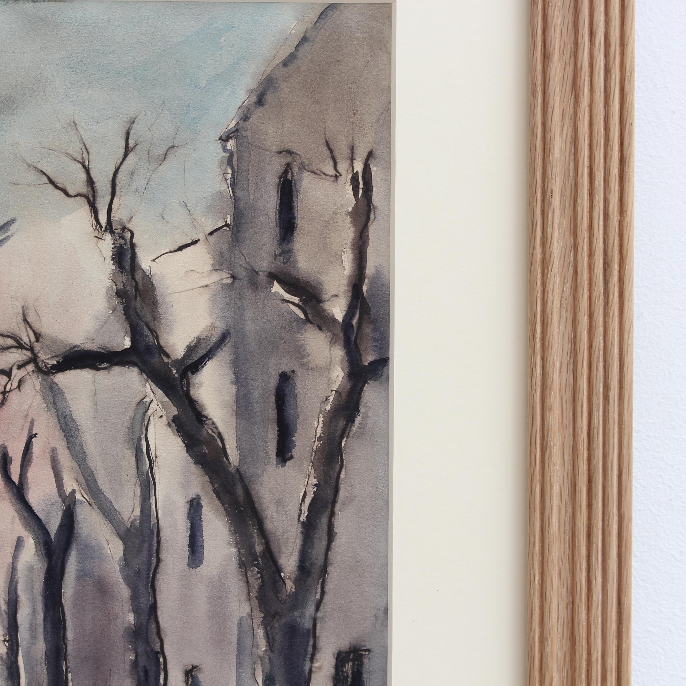 Plátanos provenzales en invierno en venta 12