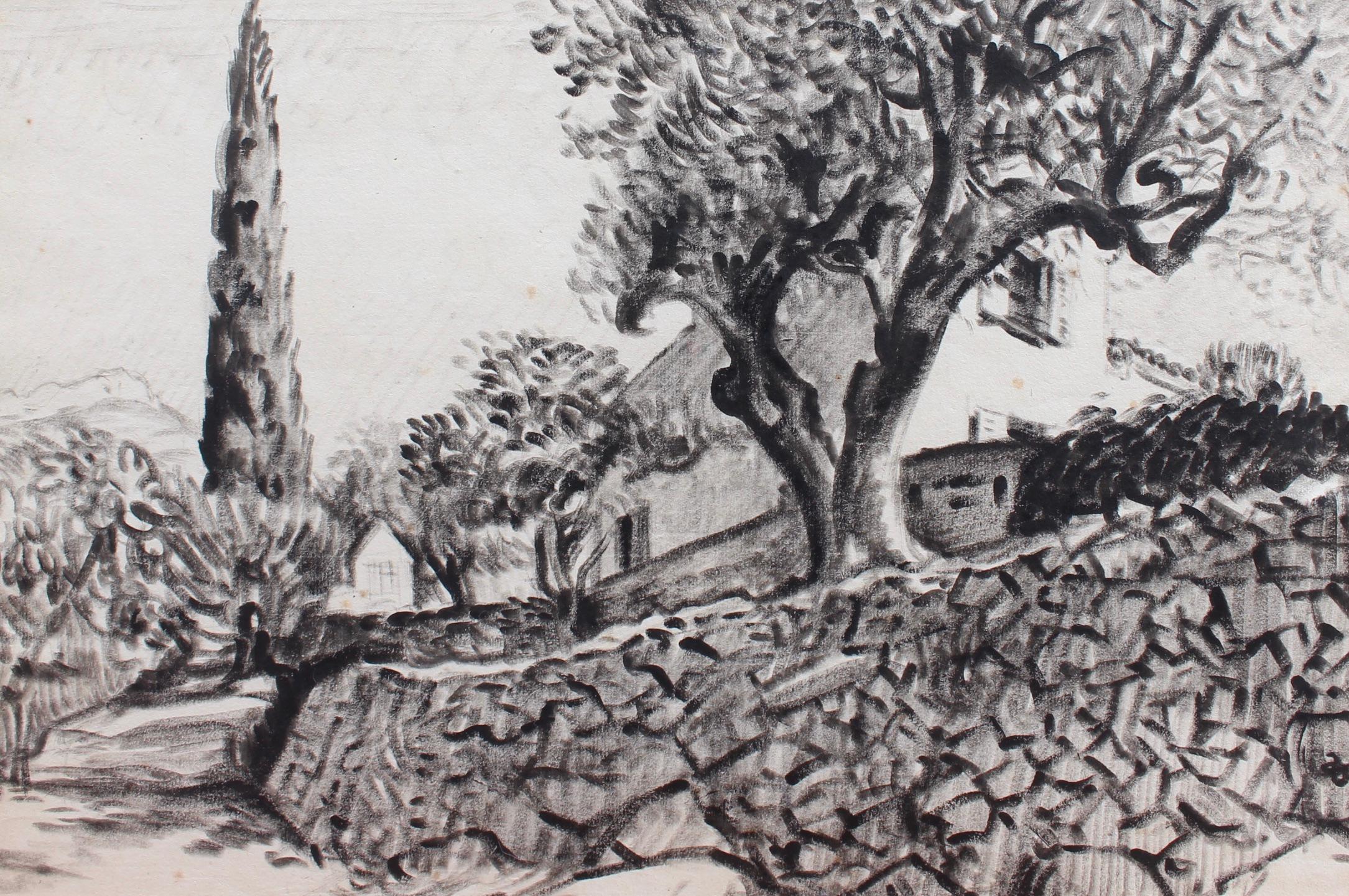 The Olive Tree Behind the Stone Wall