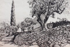 The Olive Tree Behind the Stone Wall