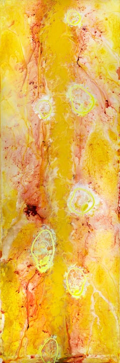 Ed Grant - Illumine Illumine