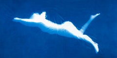 Blue Swimmer—Frame 012