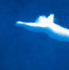 Blue Swimmer—Frame 012