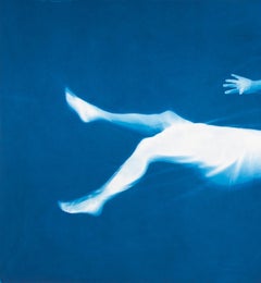 Blue Swimmer—Frame 015