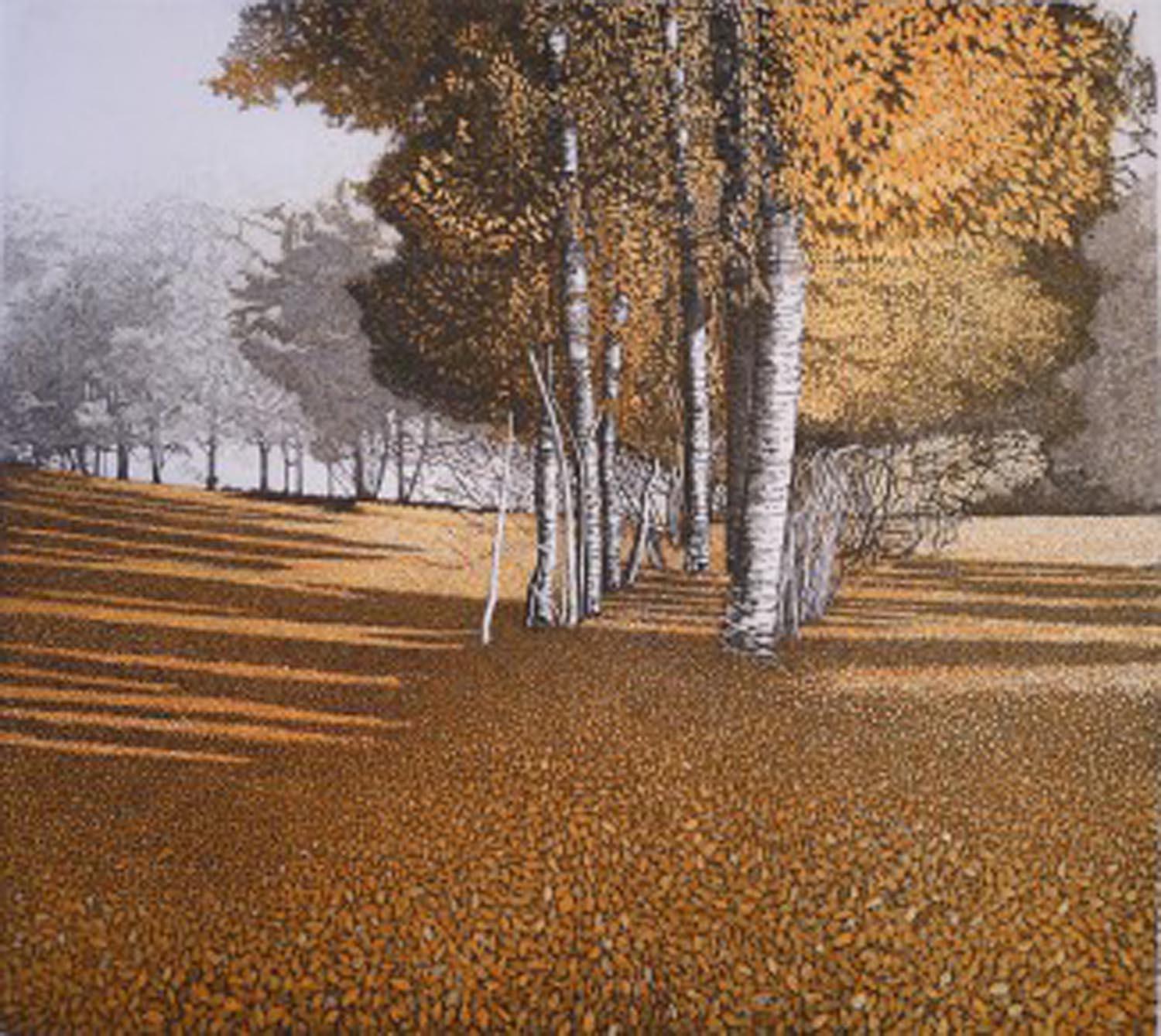 Phil Greenwood Landscape Print - Amber Light, etching, print, tree's, forest, orange, art, for sale