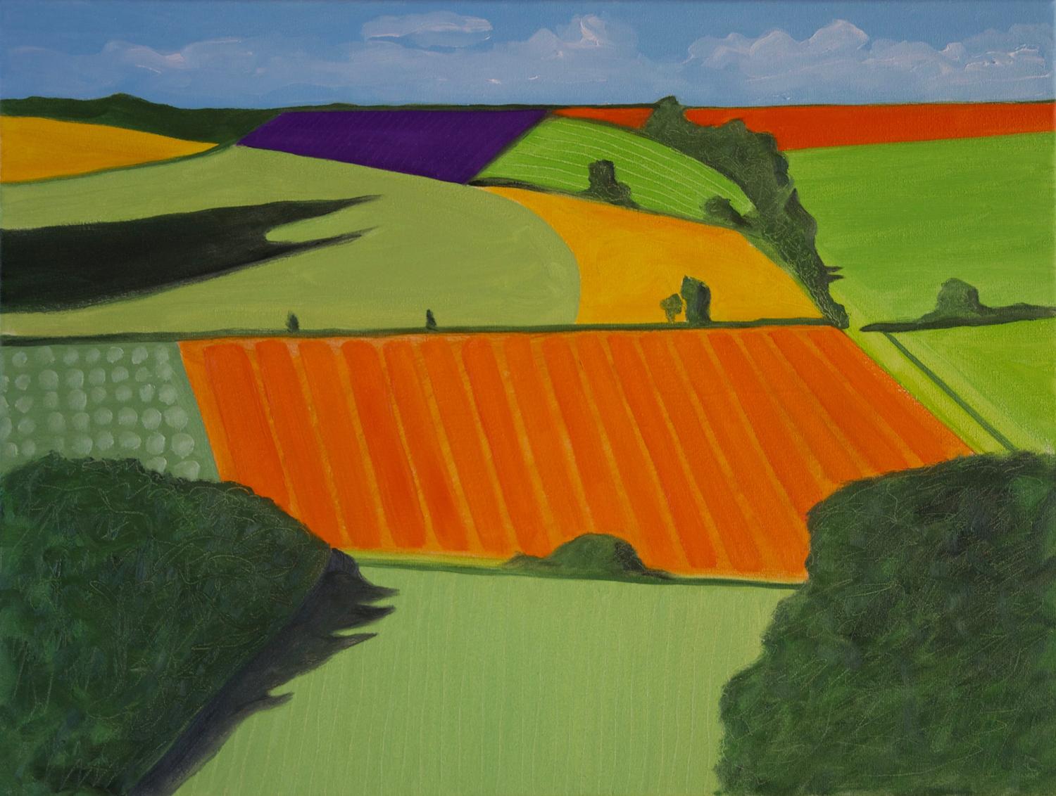 Christo Sharpe discovered this image with perfectly divided shapes when visiting friends in Warwickshire. This landscape painting is the result. This is one of Englands most beautiful areas. The countryside is perfectly composed with sweeping