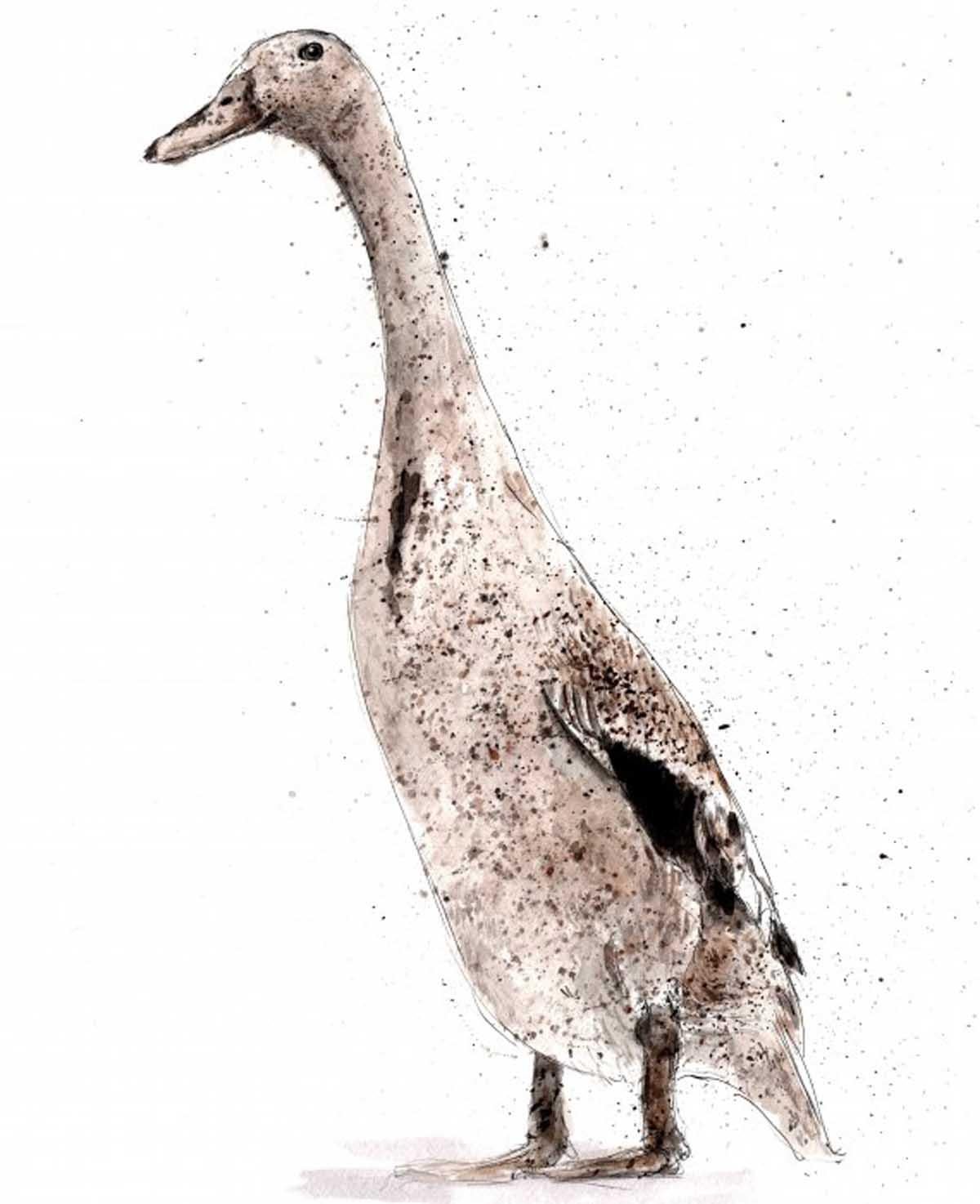 Duck 1 BY ZAZA SHELLEY, Animal Art, Contemporary Original Bird Paintings forSale 1