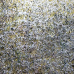 Isuru – 2 of 10 Limited Edition Contemporary Abstract Photograph by Gina Parr