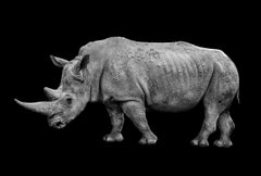 Used Rhinoceros – Max Garner Reidy – Animal Art, Photographic Art