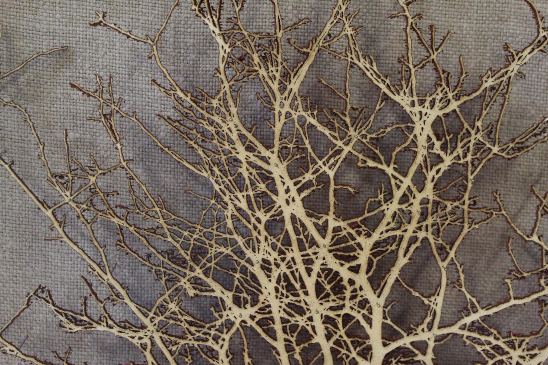 Emma Levine
Fawn Hawthorn
Laser Cut Paper Hawthorn Tree Attached with Pins
Etymology Pins and Paper
Sheet Size: H 44cm x W 44cm x D 0.5cm
Framed Size: H 48.5cm x W 48.5cm x D 7cm
Framed in a Dark Grey Wood Effect Box Frame

Fawn Hawthorne is an