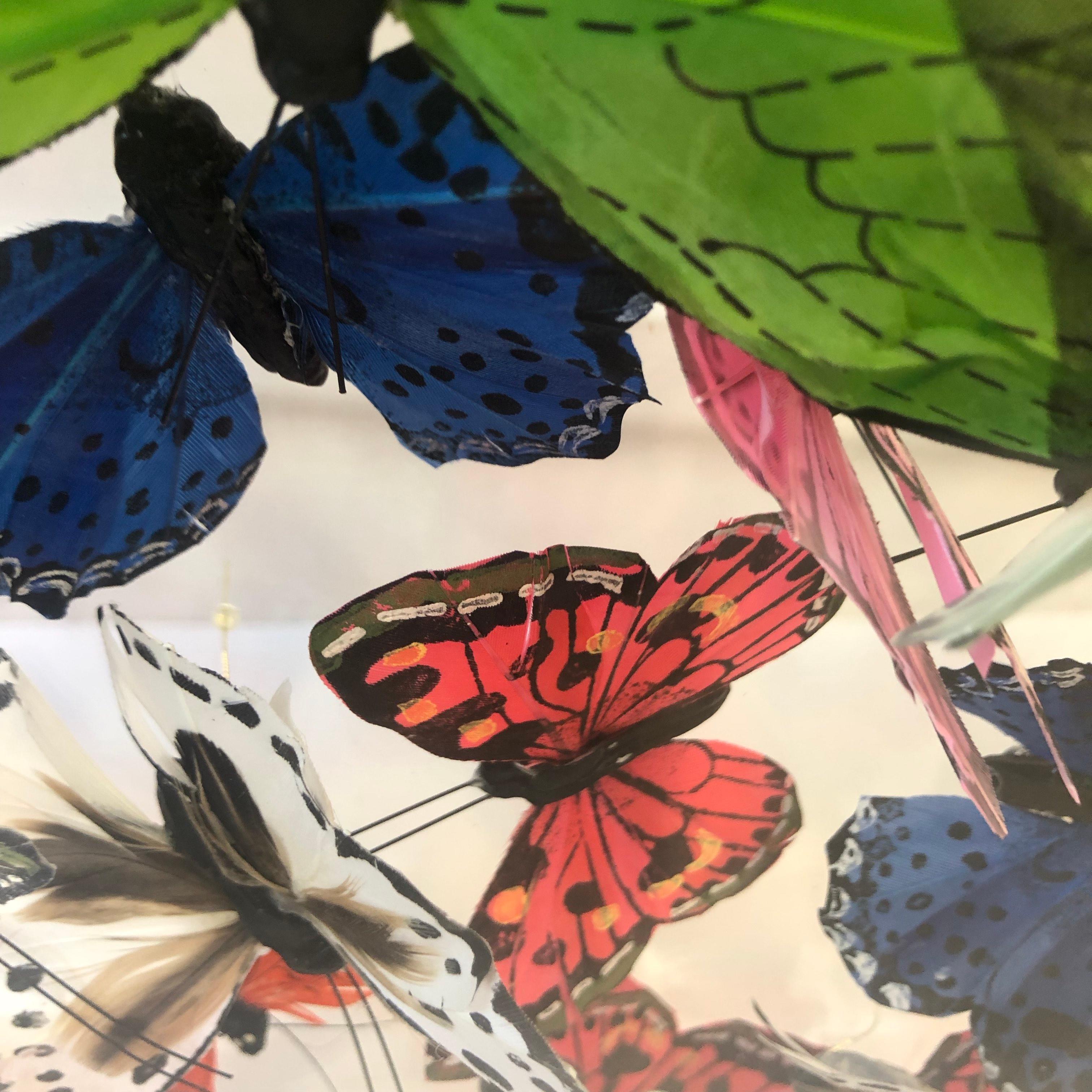 Michael Olsen, Northern Brown Angus, Butterfly Art, Quirky Art, 3D Art 6