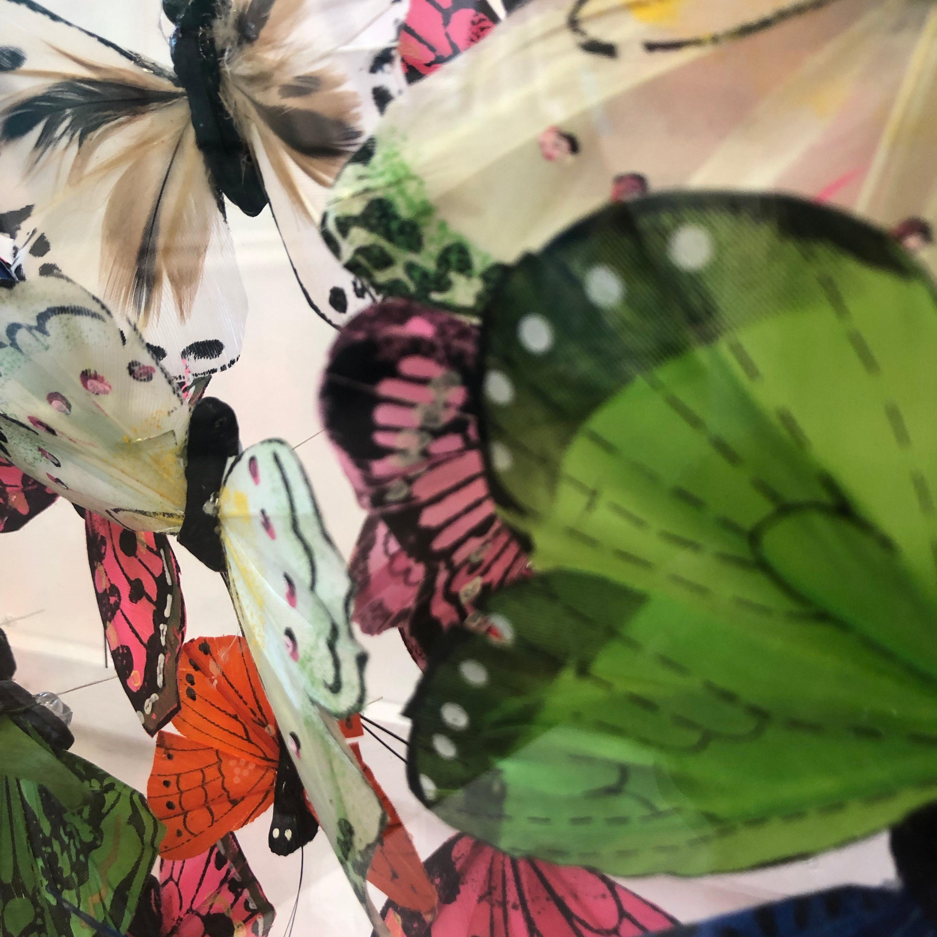 Michael Olsen, Northern Brown Angus, Butterfly Art, Quirky Art, 3D Art 7