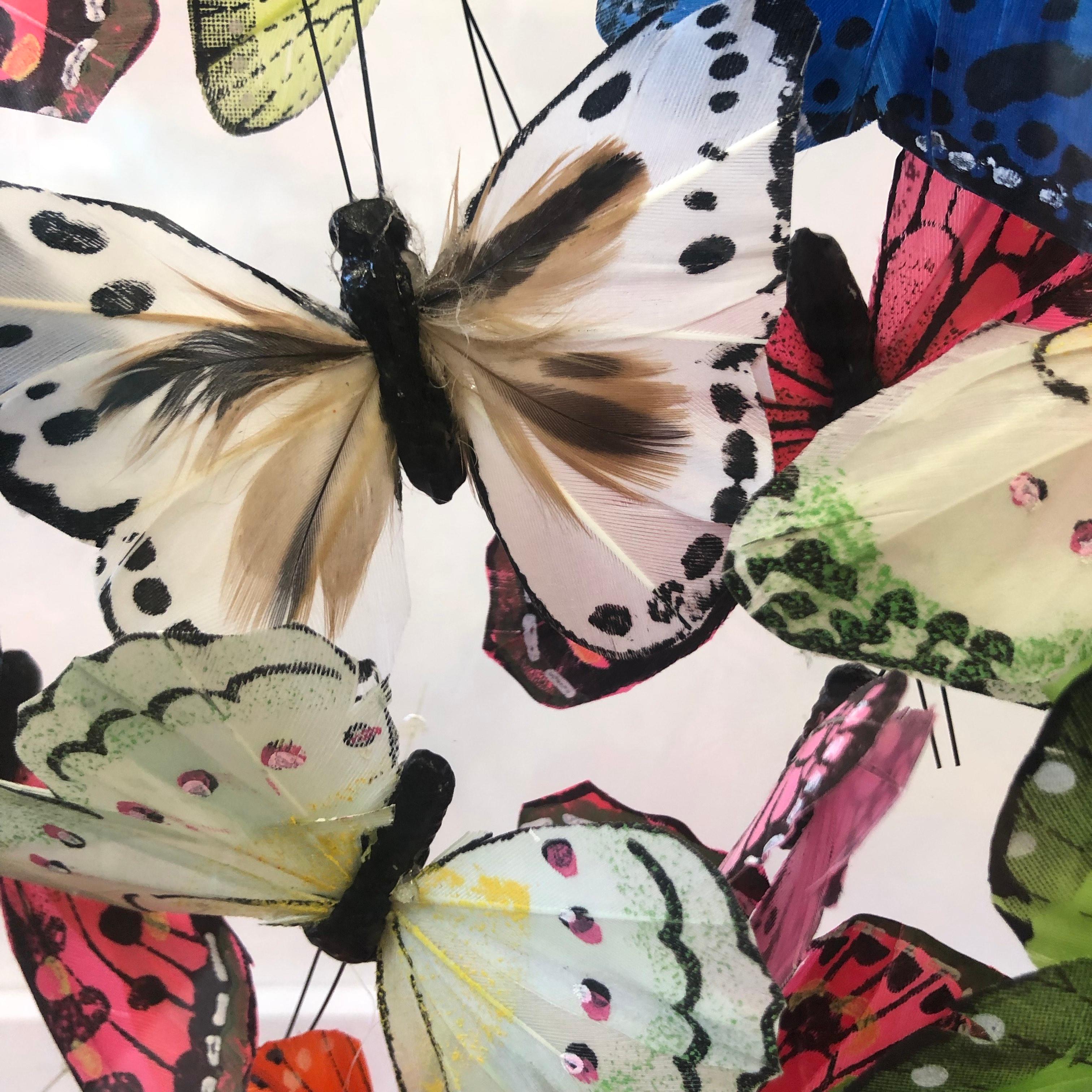 Michael Olsen, Northern Brown Angus, Butterfly Art, Quirky Art, 3D Art 1