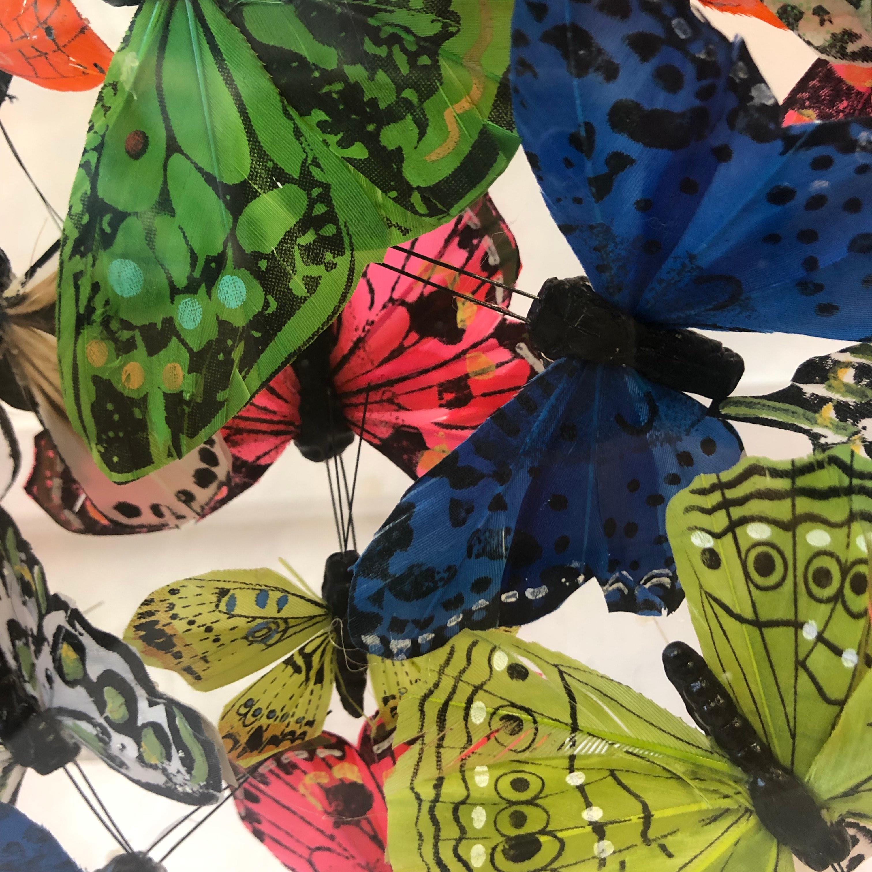 Michael Olsen, Northern Brown Angus, Butterfly Art, Quirky Art, 3D Art 3